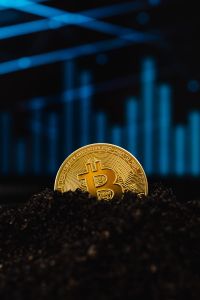 Kaboompics - Bitcoin Coin in Soil With Trading Chart