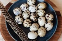 Kaboompics - Navy Plate of Speckled Eggs and Patterned Feather, Close-Up Easter Food Styling