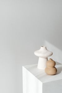 Kaboompics - White and Tan Sculptural Vases on White Pedestals