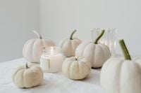 Kaboompics - Pantone Color of the Year 2026: White Pumpkins and Candle Still Life