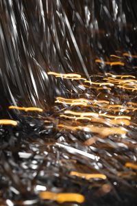 Kaboompics - Abstract Silver Tinsel With Golden Light Trails