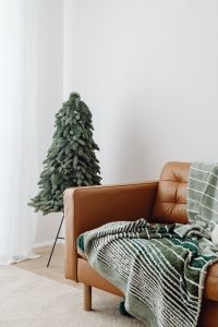 Kaboompics - Green Christmas Tree Beside Tan Sofa