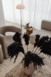 Kaboompics - Black Dried Pampas Grass in a Vase on a Marble Coffee Table