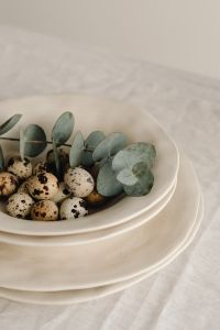 Kaboompics - Close-Up Quail Eggs With Eucalyptus In White Bowl