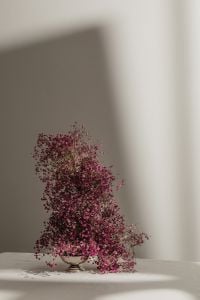 Kaboompics - Airy Pink Dried Flowers in a Minimal Interior
