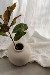 Kaboompics - Close-Up Green and Brown Leaves with White Ceramic Vase