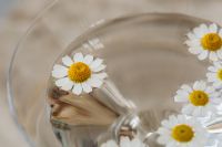 Kaboompics - Daisy Flowers in Water with Abstract Reflective Background