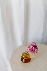 Kaboompics - Pink Carnation and Amber Glass Vase on Round Marble Table