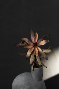 Kaboompics - Close-Up of Dried Tropical Bloom and Sculptural Gray Vase Against Charcoal Wall