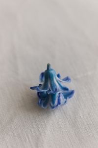Kaboompics - Minimal Blue Hyacinth Blossom with Generous Linen Copy Space