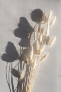Shadows on marble