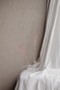 Kaboompics - Minimal Neutral Still Life With Pink Dried Stems And White Drapery