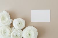 Kaboompics - Blank Brand Card with White Ranunculus Flowers and Color Palette