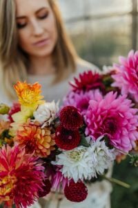 Kaboompics - Colorful Dahlia Bouquet With Woman In Background
