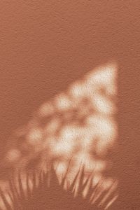 Kaboompics - Peach Fuzz Wall with Palm Shadow