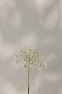 Kaboompics - Bright and warm free backgrounds or wallpapers