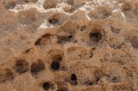 Kaboompics - Sunlit Beige Stone Background with Eroded Pits and Shadows