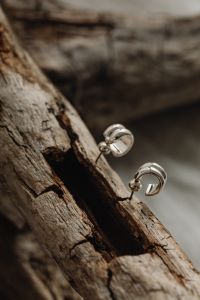 Kaboompics - Silver Hoop Earrings Displayed on Split Driftwood