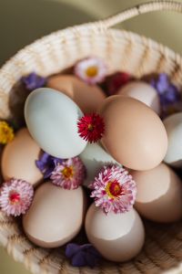 Kaboompics - Close-Up Easter Eggs with Pink Zinnias and Purple Blossoms in a Woven Basket