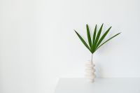 Kaboompics - Wide Palm Frond Arrangement in a Sculptural Ceramic Vase