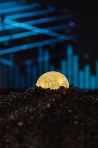 Kaboompics - Bitcoin Coin on Soil With Stock Market Chart
