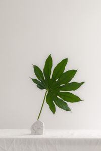 Kaboompics - Green Leaf in a Marble Stone Holder
