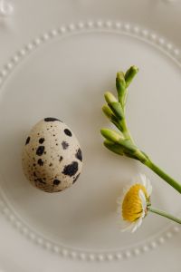 Kaboompics - Easter Delights - Spring Flowers and Minimalist Tableware