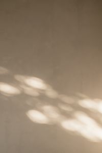 Kaboompics - Smooth Taupe Background with Soft Window Light