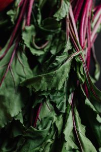 Kaboompics - Fresh Beetroot Leaves and Ruby Stems in Soft Focus, Moody Farm-to-Table Produce Background