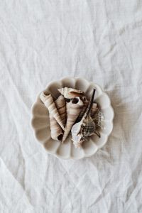 Kaboompics - Overhead Seashells in a White Scalloped Dish on Linen, Neutral Beach Still Life