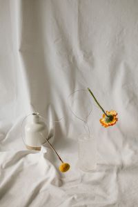 Kaboompics - Abstract Flower Arrangement against White Textile Folds