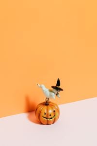 Kaboompics - Halloween Pumpkin with Spring-Mounted Ghost in Witch Hat