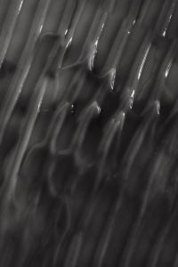Kaboompics - Glossy Black Cream Ridges in Dramatic Monochrome, Skincare Texture Macro Background