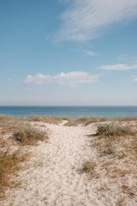 Kaboompics - Sandy Trail Through Dune Vegetation to the Sea