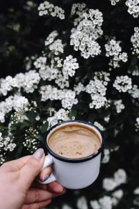 Kaboompics - Morning coffee outdoors in the garden