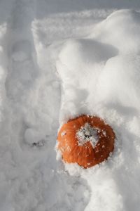 Kaboompics - Orange Object Partially Buried in Fresh Snow