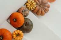 Kaboompics - Minimal White Background with Pumpkins and Copy Space