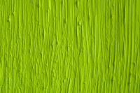 Kaboompics - Vibrant Green Wood Grain Texture