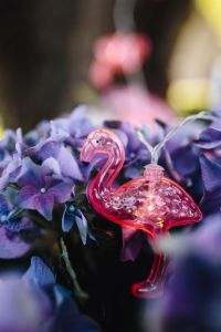 Kaboompics - Flamingo light garland & pink flowers
