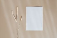 Kaboompics - Blank Brand Card with Dried Grass and Neutral Color Palette