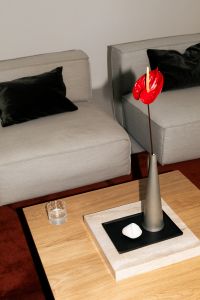 Kaboompics - Minimal Interior With Red Anthurium Flower And Neutral Sofa