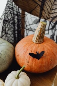 Kaboompics - Orange Pumpkin with Bat and White Pumpkin Close-Up