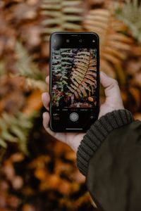 Kaboompics - A woman takes a picture with her iPhone X in the autumn forest
