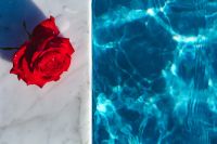 Kaboompics - Marble & fresh garden rose on the blue water of a swimming pool