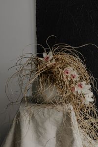 Kaboompics - Neutral Room with Sculptural Vase and Dried Flowers