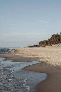 Kaboompics - Small Waves Breaking on Dark Wet Beach Sand