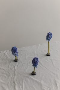 Kaboompics - Three Blue Hyacinths in Flower Frogs with Generous Wall Copy Space