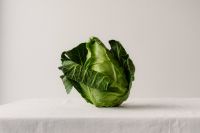 Kaboompics - Whole Savoy Cabbage on White Table, Minimal Food Still Life