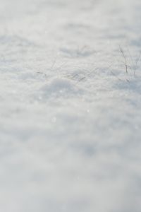 Kaboompics - Fresh snow in the garden