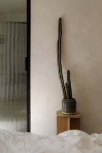 Kaboompics - Tall Potted Cactus beside Fluted Glass Door, Neutral Interior Background